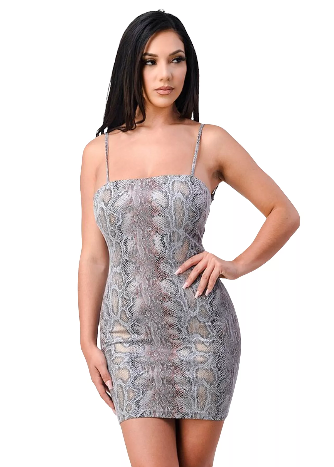 Breeyana Mini Snake Print Dress