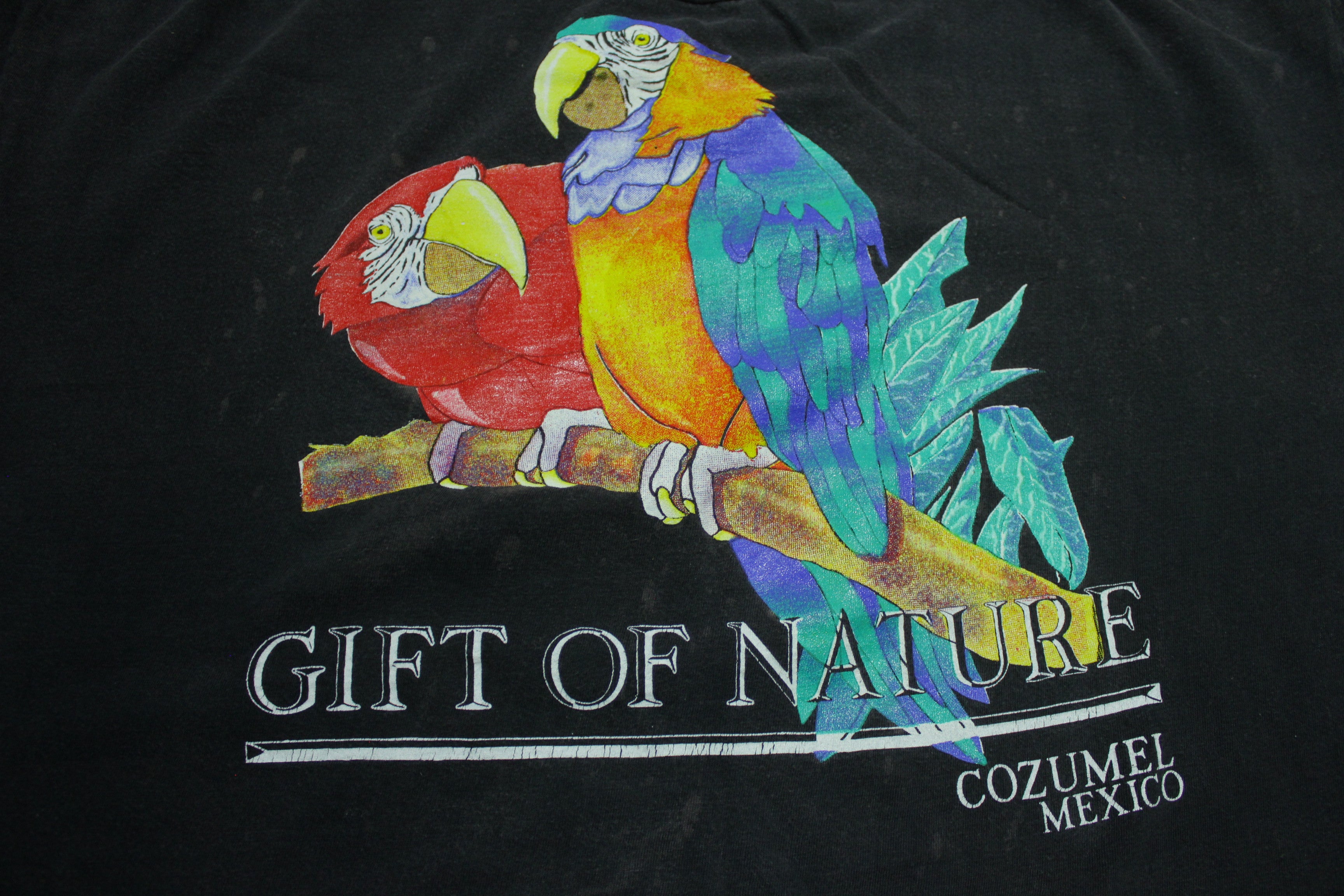 Cozumel Mexico Scarlet Macaw Vintage Single Stitch Parrot T-Shirt - Gift of Nature