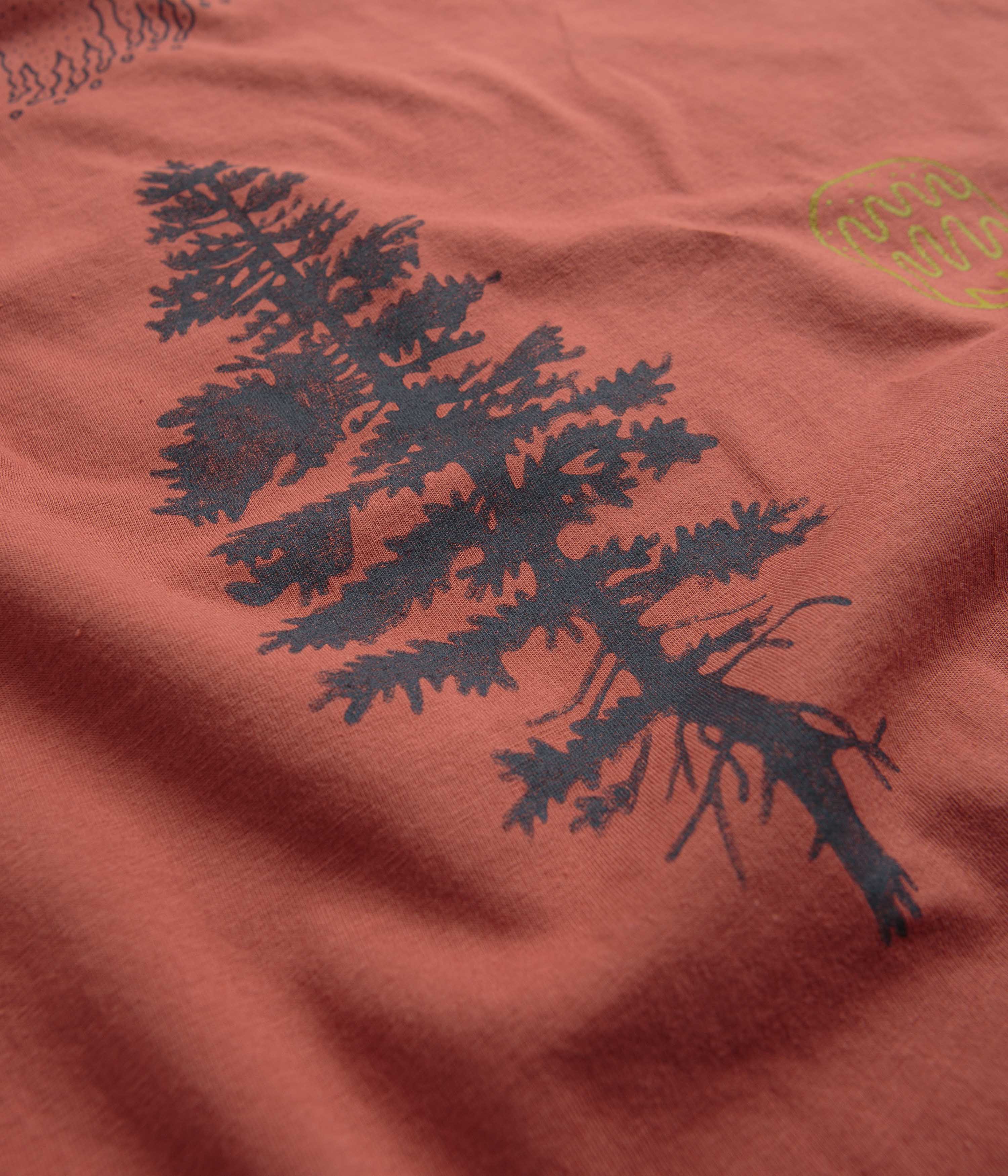 Organic T-Shirt, Patagonia Pyrophytes, Burl Red - Google SEO