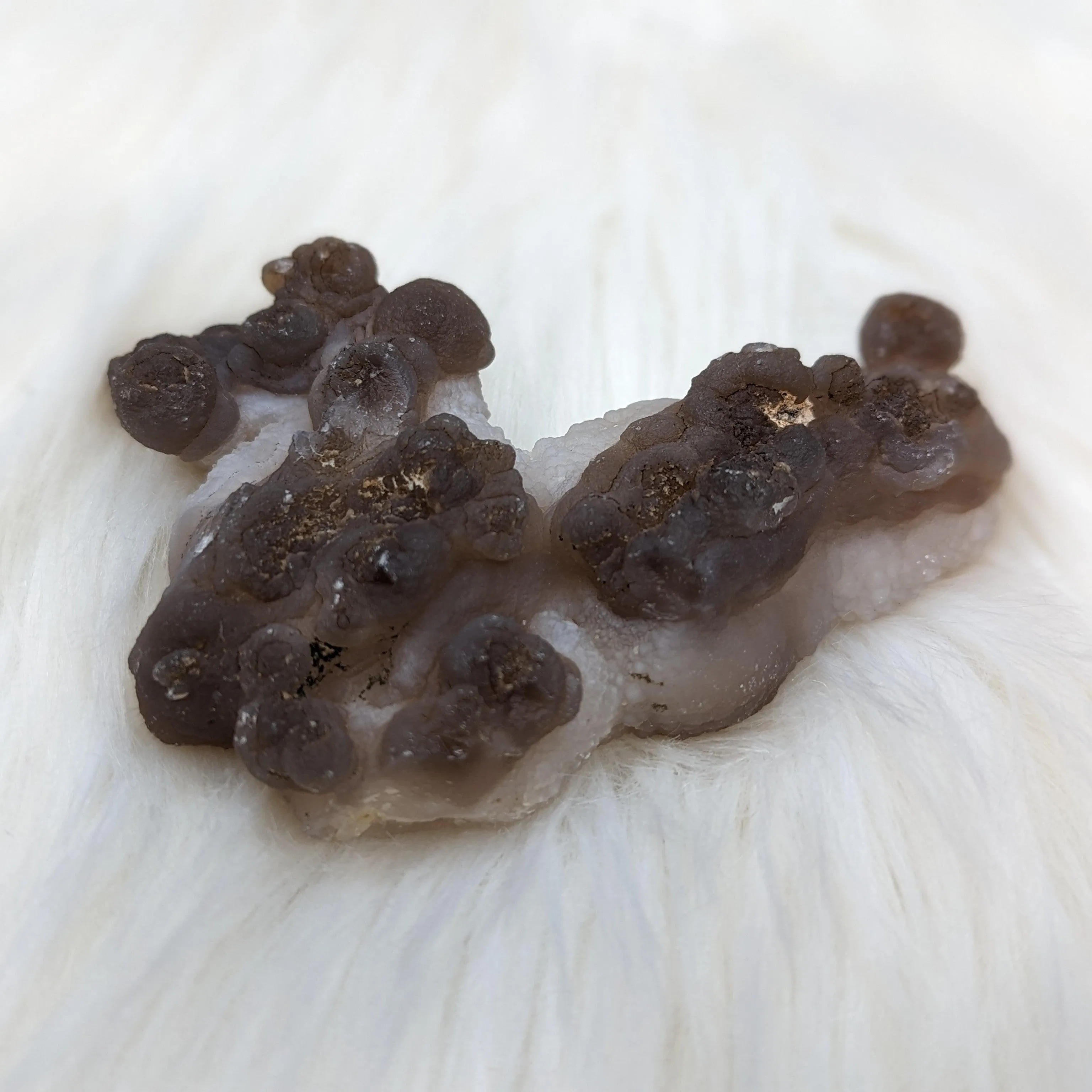 Truffle Chalcedony Specimens from Morocco - Medium Size Options