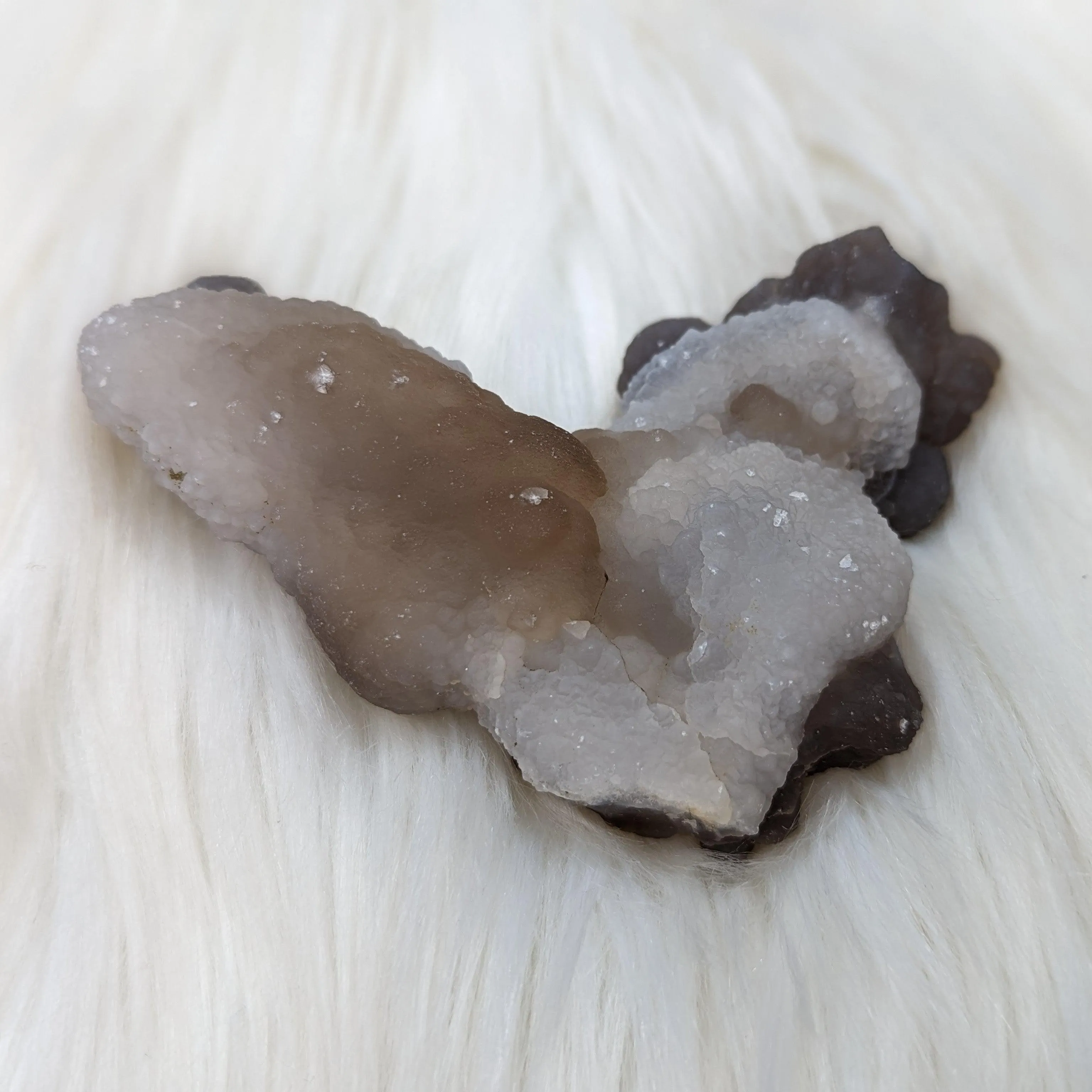 Truffle Chalcedony Specimens from Morocco - Medium Size Options