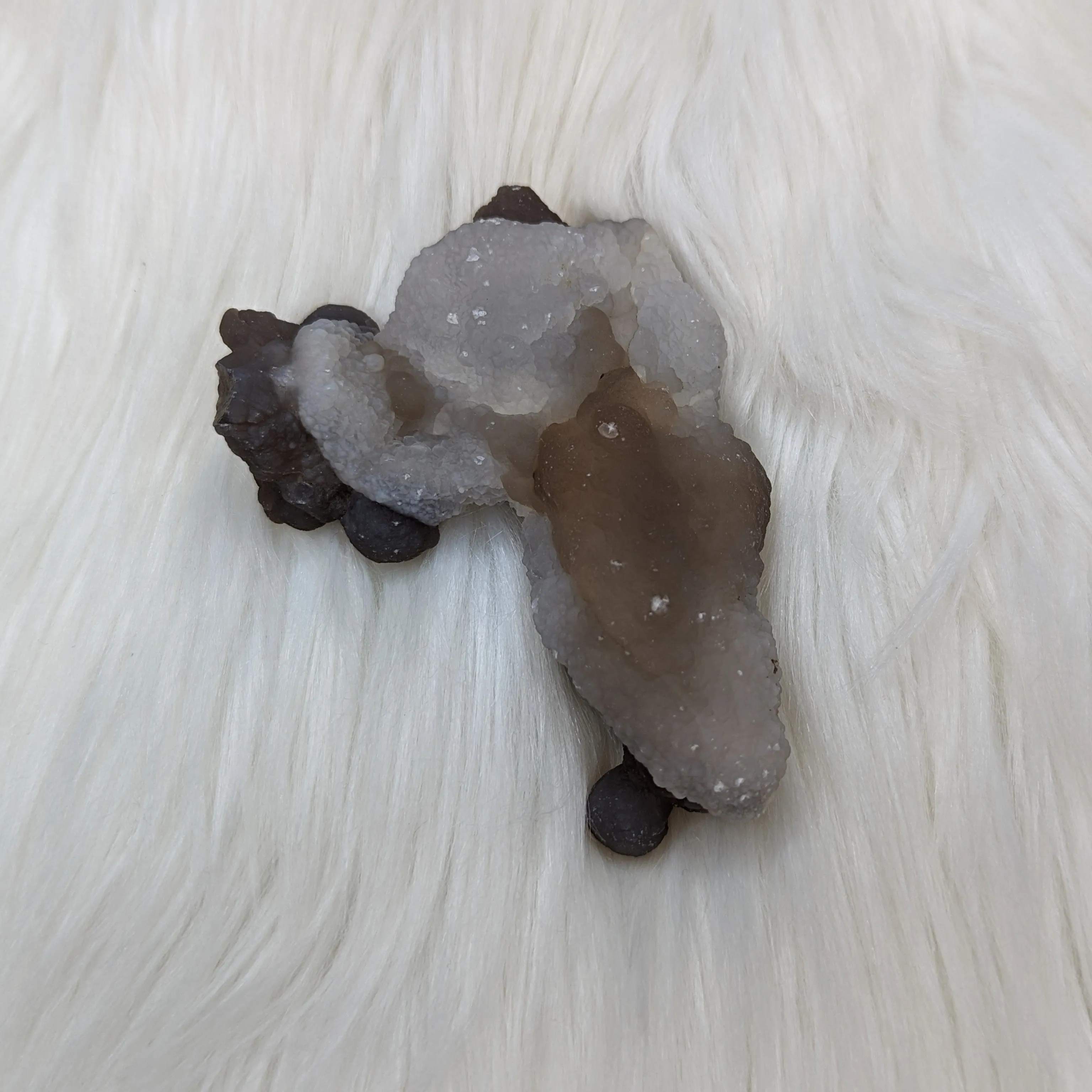 Truffle Chalcedony Specimens from Morocco - Medium Size Options