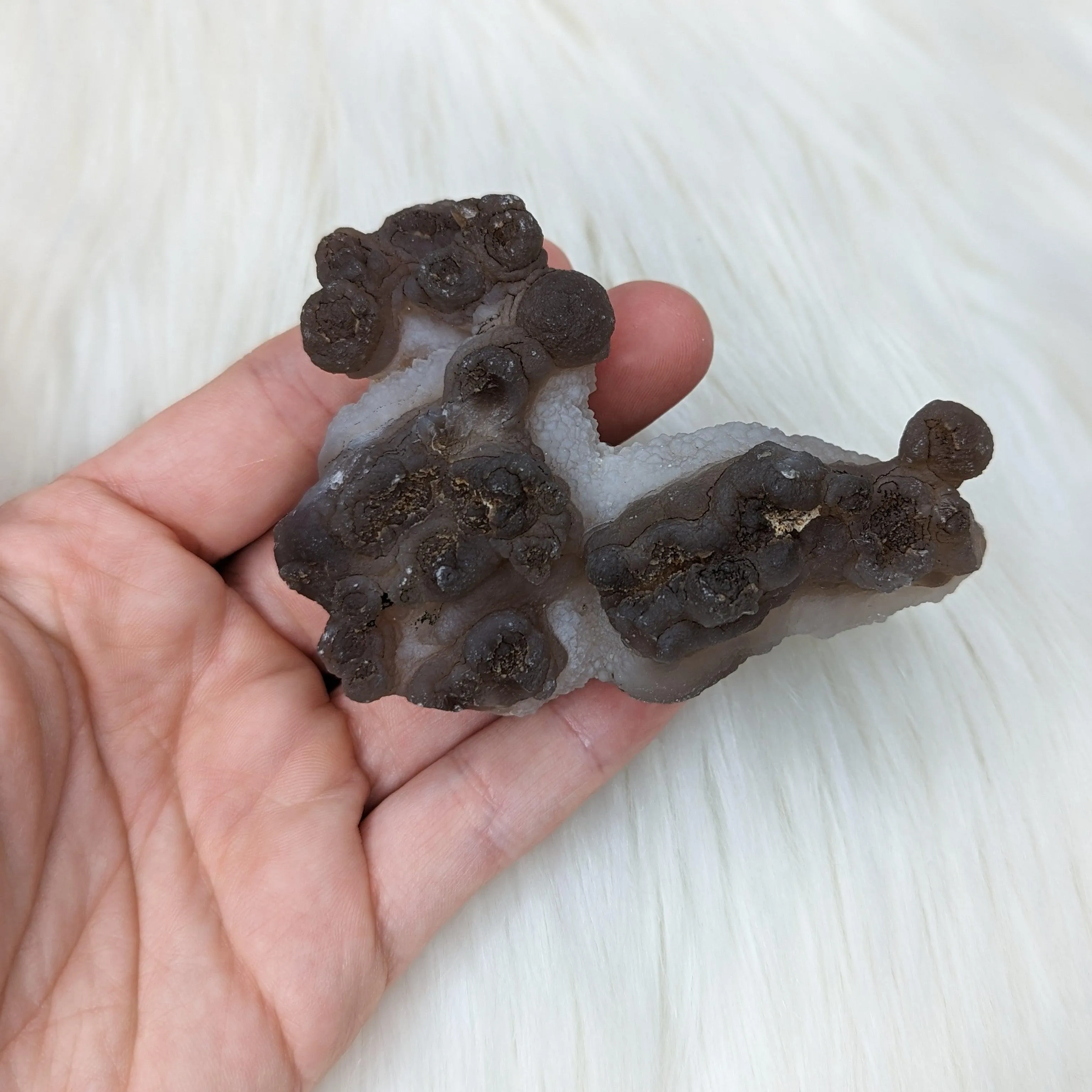 Truffle Chalcedony Specimens from Morocco - Medium Size Options